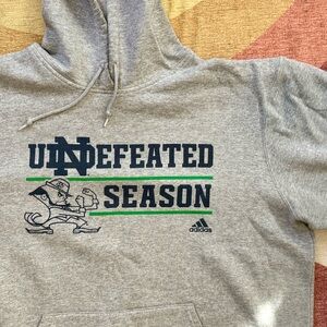 Adidas Gray Graphic Hoodie